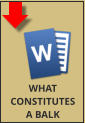 WHAT CONSTITUTES A BALK