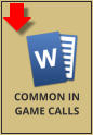 COMMON IN GAME CALLS