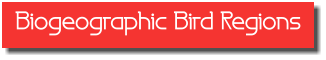 Biogeographic Bird Regions