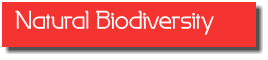Natural Biodiversity