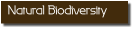 Natural Biodiversity