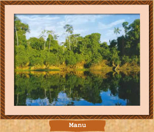 Manu